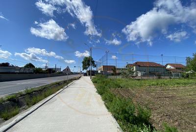 Teren Construcții intravilan de 7295 mp, în Argeșelu