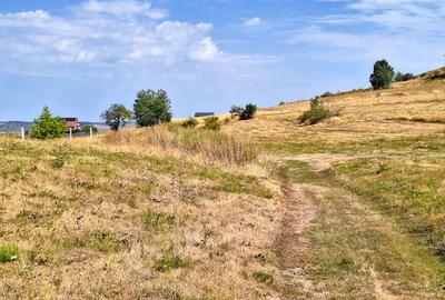 Teren de vanzare 1.257 mp Gura Râului-Zona Mărâjdiei -Investiție! - 4