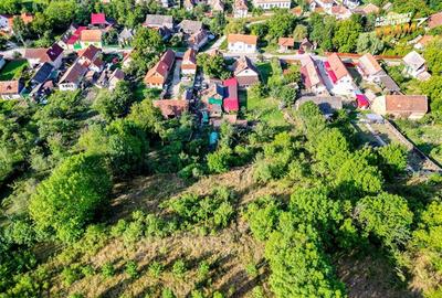 FILM!Areal apreciabil,casa+domeniu de 3.500mp,Sancraiu,vecin Sfantu Gheorghe si - 19