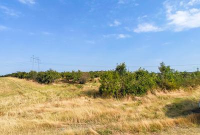Parcele Teren Extravilan Livada si Pasune Lunca Corbului  Arges - 8