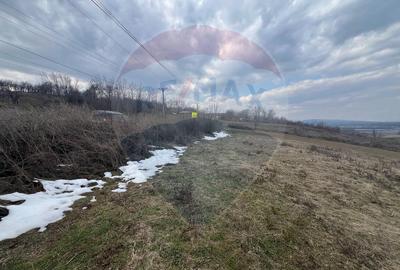 Teren intravilan Dumbraveni / Strada Principala - 7