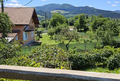 Proprietate superba zona Vaduri - 9