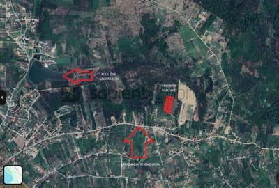 Teren agricol intravilan de 4316 mp, în Săldăbagiu de Munte
