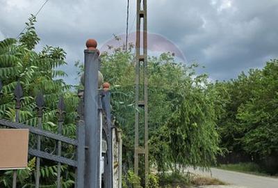 Domeniu rural, gospodarie/multifunctionala cu casa, livada, vie - 10