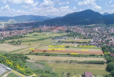 Teren intravilan, 6000 mp, Turcheș - Săcele - 2