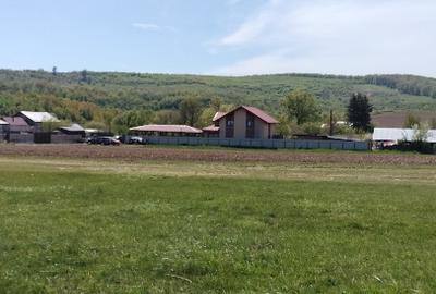 Teren extravilan 7.200 mp Bordea - Grajduri/ Oportunitate Investiție - 10