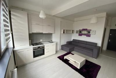 Apartament cu 1 camera tip studio in Tatarasi-Doi Baieti - 3