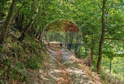 Cabană de vânzare în satul Plopi, Valea Ierii, județul Cluj - 16