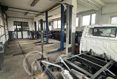Afacere profitabila de vanzare+ Casa - 12