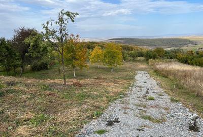 Teren Construcții intravilan de 3744 mp, în Gheorghieni
