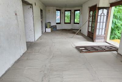 Vand casa mare și teren mare în Peciu Nou - 7