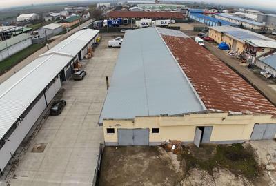 Hală industrială cu poziționare strategică în Giarmata - 4