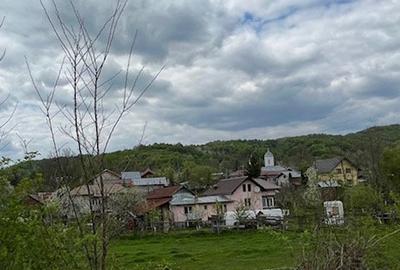 Teren Construcții intravilan de 2800 mp, în Provița de Jos