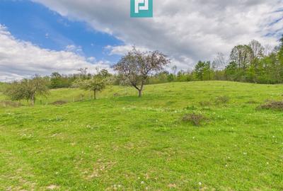 Casă cu teren de 17.681 mp, în loc. Hălmăgel, Arad - 16