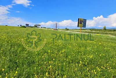Teren agricol extravilan de 4000 mp, în Șelimbăr