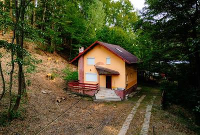 Casă de vacanță de vânzare în Drăganu, Argeș + teren 1.292mp - 23