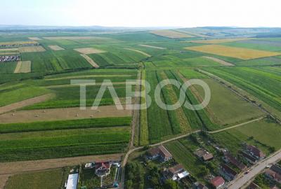 Teren Construcții intravilan de 10055 mp, în Șura Mică