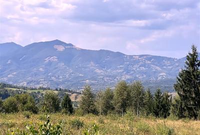 Teren intravilan la munte Pasul Tihuta - 2