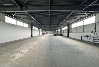 Hala Iasi CUG, de la 300mp la 944mp, langa Vama Iasi, Kaufland - 3