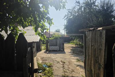 Branesti/Pasarea/Piteasca casa de vanzare deschidere la lac - 7