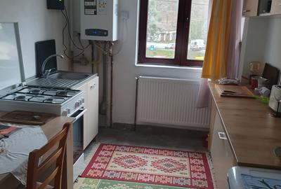Apartament 2 camere, etaj 1, in statiunea Baile Govora - 8