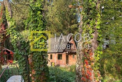Casa cu teren, str. Slatinei, Luncani - Margineni - Bacau - 13