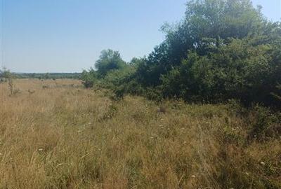 Teren intravilan de vanzare zona Magura Cisnadie - 11