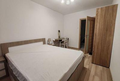 Apartament 2 camere decomandat, Podu Roș, 52 mp, mobilat - 4