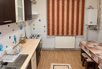 Apartament cu o camera zona Terezian - 2