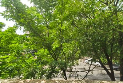 Apartament Piata Mocioni - 11