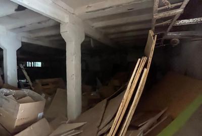 Complex industrial/Ferma de vânzare | Orțișoara, jud. Timiș - 15