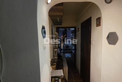 Apartament 2 camere, parter, zona linistita - 10