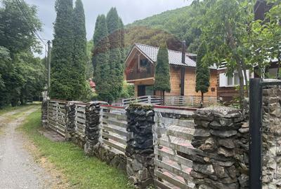 Cabana autentica de munte Frasinet - Baisoara 600 mp teren - 28