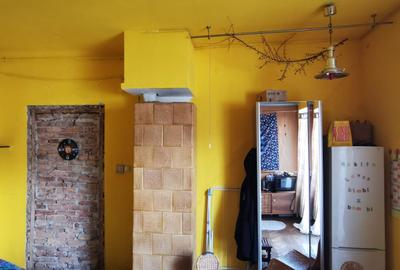 Garsoniera la casa de inchiriat Pet friendly - 4