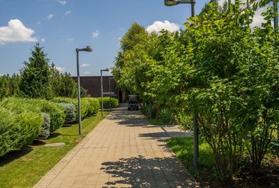 INDIVIDUAL Villa, 4 rooms, 255sqm, Oxford Gardens Pipera! - 57