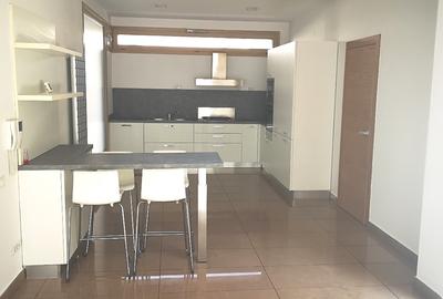 Vila moderna 4 dormitoare nemobilata Iancu Nicolae - 16