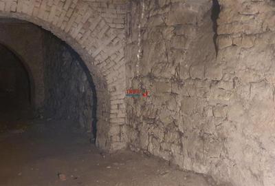 Spatiu comercial pentru restaurant, bar, club cu terasa si crama - 4