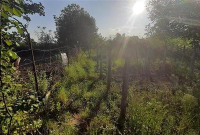 De vanzare teren 16 arii, Santana de Mures - 1