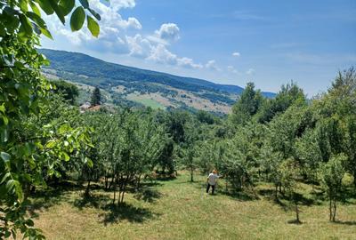 24.141 mp 1h30' de Bucuresti -  ideal casa sau complex retreat - 8