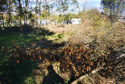 Teren Generos cu Casa in Gruiu - Snagov - 8