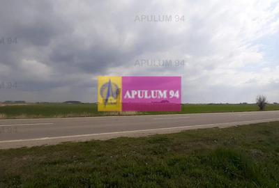 Teren Intravilan  cu front stradal la un Drum Principal langa București - 32