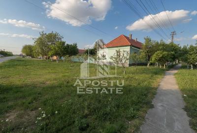 Casă renovată complet, cu garaj și anexe, în Satchinez, Timiș - 2