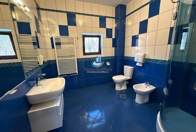 Casa 240 mp utili P+M, 9000 mp teren, Girov, Jud. Neamt - 3