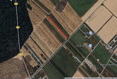 Teren Sabareni linga padure 10 minute pina in Bucuresti - 2