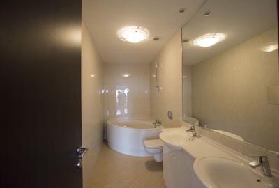 Penthouse Duplex 5 camere | Zona Herastrau - 13