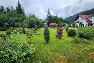 Penisune in Bucovina! Sucevita! De Vanzare! 0727817187 - 10