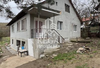 Două case individuale de vânzare în Teliuc –ideale pentru două familii - 17