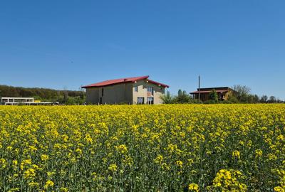 Ciolpani, spre Izvorani - COR, vanzare teren 5000mp. - 1