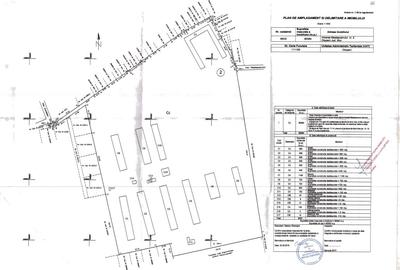 Teren 80.084 mp Otopeni - Intrarea Mesteacanului - 2