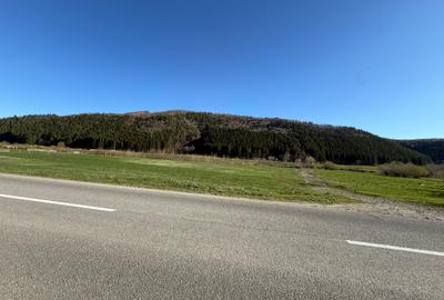 Teren intravilan In Zarnesti zona Plaiul Foii deschidere asfalt si priveliste - 2